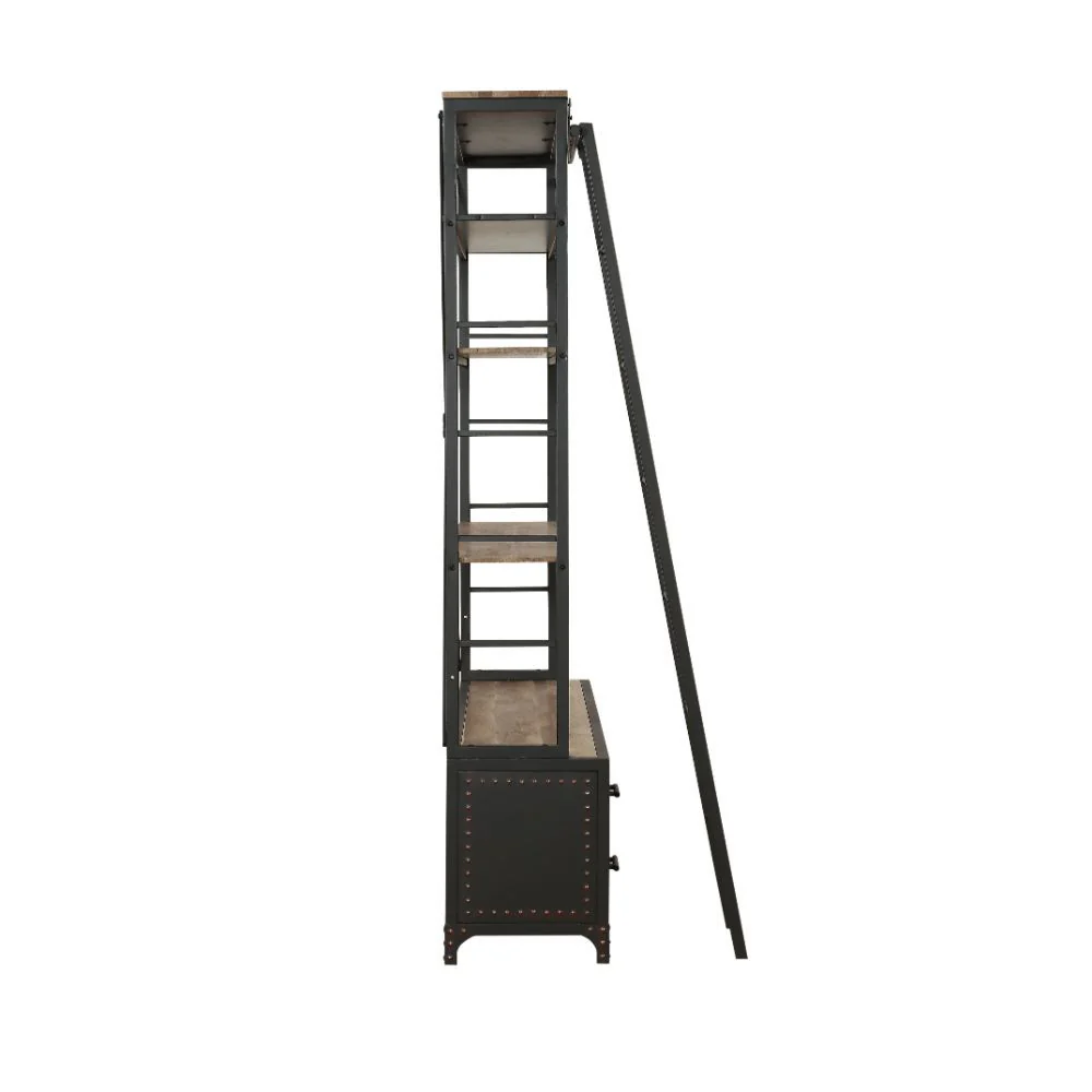 Actaki - Bookshelf & Ladder - Funk Metal Works LLC