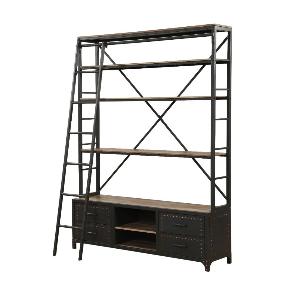 Actaki - Bookshelf & Ladder - Funk Metal Works LLC