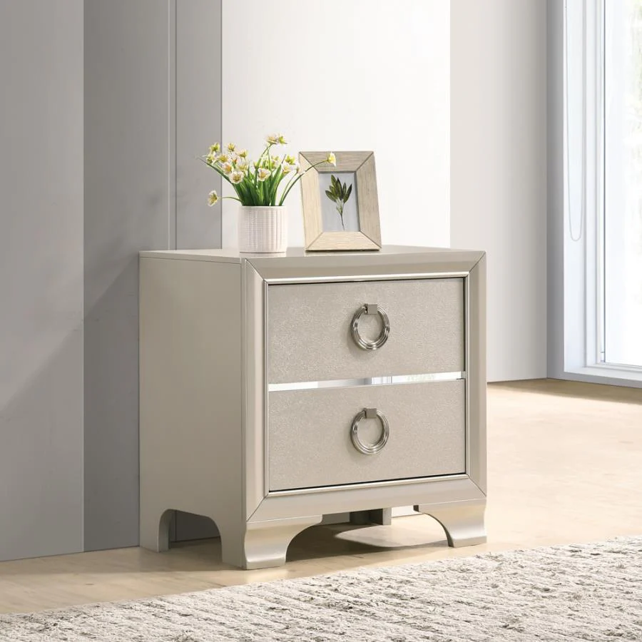 Salford 2-drawer Nightstand Metallic Sterling - Funk Metal Works LLC