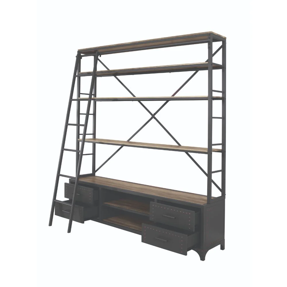 Actaki - Bookshelf & Ladder - Funk Metal Works LLC